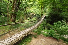 Ponte sospeso di legno in legno fotografia stock libera da diritti Ponte sospeso di legno in legno fotografia stock libera da diritti