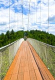 Ponte suspendida Quebeque do mundo o pedestre o mais longo Imagens de Stock Royalty Free Ponte suspendida Quebeque do mundo o pedestre o mais longo Imagens de Stock Royalty Free