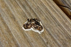 Poo πουλιών splatter στην ξύλινη γέφυρα στοκ εικόνα Poo πουλιών splatter στην ξύλινη γέφυρα στοκ εικόνα