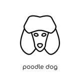 Poodle dog icon. Trendy modern flat linear vector Poodle dog ico vector illustration Poodle dog icon. Trendy modern flat linear vector Poodle dog ico vector illustration