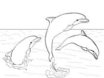 Pop Art. Vector of imitation retro comic style. Rest on the sea, three dolphins play in the water. Book coloring for Royalty Free Stock Photography Pop Art. Vector of imitation retro comic style. Rest on the sea, three dolphins play in the water. Book coloring for Royalty Free Stock Photography