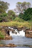 Popa Falls på den Okavango floden arkivbilder Popa Falls på den Okavango floden arkivbilder