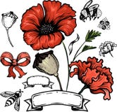 Poppy flower. Red poppies isolated on white background vector illustration Poppy flower. Red poppies isolated on white background vector illustration