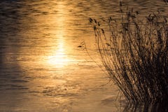 Por do sol no lago com reflexões bonitas da água fotografia de stock Por do sol no lago com reflexões bonitas da água fotografia de stock