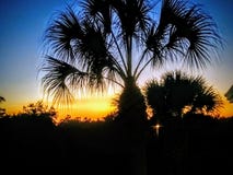 Por do sol sul de florida imagens de stock royalty free Por do sol sul de florida imagens de stock royalty free