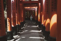 Portas de Torii, Jap?o imagens de stock royalty free Portas de Torii, Jap?o imagens de stock royalty free