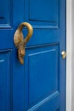 Porte bleue de cygne photo stock Porte bleue de cygne photo stock