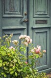 Porte verte avec le rosier Photos stock Porte verte avec le rosier Photos stock