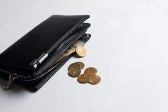 Portefeuille met muntstukken, portefeuille met geld, Volledige Portefeuille met Rekeningen en stock fotografie Portefeuille met muntstukken, portefeuille met geld, Volledige Portefeuille met Rekeningen en stock fotografie