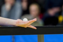 Portion för bordtennisspelare, slut upp Individuell sport arkivfoto Portion för bordtennisspelare, slut upp Individuell sport arkivfoto