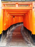 Portoni di Torii al santuario di Fushimi Inari Taisha fotografia stock libera da diritti Portoni di Torii al santuario di Fushimi Inari Taisha fotografia stock libera da diritti