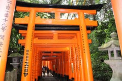 Portoni di Torii di Fushimi Inari-Taisha fotografie stock libere da diritti Portoni di Torii di Fushimi Inari-Taisha fotografie stock libere da diritti