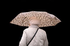 Portr?t einer l?chelnden Sch?nheit, die Regenschirm h?lt und oben auf einem wei?en Hintergrund lokalisiert schaut lizenzfreie stockfotos Portr?t einer l?chelnden Sch?nheit, die Regenschirm h?lt und oben auf einem wei?en Hintergrund lokalisiert schaut lizenzfreie stockfotos