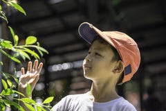Portrait of Asian boy wearing a red cap and white shirt is smile stock images Portrait of Asian boy wearing a red cap and white shirt is smile stock images