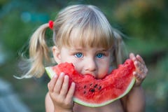 Portrait of beautiful blonde little girl with two ponytails eating watermelon stock photos Portrait of beautiful blonde little girl with two ponytails eating watermelon stock photos