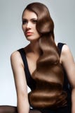 Portrait of Beautiful Woman with Long Wavy Hair. royalty free stock image Portrait of Beautiful Woman with Long Wavy Hair. royalty free stock image