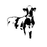 Portrait Big Black And White Cow Stock Photo Portrait Big Black And White Cow Stock Photo