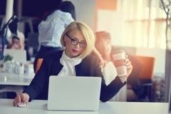 Portrait of a blonde female business partner in her 30`s sitting at her tidy desk in front of her computer. stock images Portrait of a blonde female business partner in her 30`s sitting at her tidy desk in front of her computer. stock images