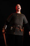 Portrait of a brutal bald-headed viking in a battle mail posing royalty free stock photography Portrait of a brutal bald-headed viking in a battle mail posing royalty free stock photography