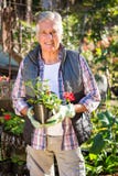 Portrait of confident gardener holding potted plant at garden stock images Portrait of confident gardener holding potted plant at garden stock images