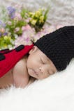 Portrait of cute newborn baby in knitted ladybird costume sleeping on white blanket stock images Portrait of cute newborn baby in knitted ladybird costume sleeping on white blanket stock images
