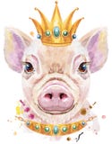 Portrait d'aquarelle de mini porc avec la couronne illustration libre de droits Portrait d'aquarelle de mini porc avec la couronne illustration libre de droits