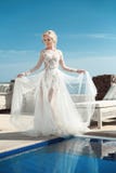Portrait de beauté de jeune mariée portant dans la robe de mariage photos libres de droits Portrait de beauté de jeune mariée portant dans la robe de mariage photos libres de droits