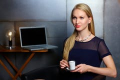 Portrait de femme d'affaires nordique image libre de droits Portrait de femme d'affaires nordique image libre de droits