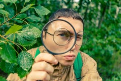 Portrait du botaniste masculin avec la loupe photographie stock Portrait du botaniste masculin avec la loupe photographie stock