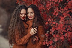 Portrait extérieur d'automne de deux femmes Jeune beau jumeau de brune photo libre de droits Portrait extérieur d'automne de deux femmes Jeune beau jumeau de brune photo libre de droits