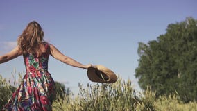Portrait of happy cheerful and carefree young woman in a wheat field. A beautiful girl enjoys a warm summer day walking stock footage Portrait of happy cheerful and carefree young woman in a wheat field. A beautiful girl enjoys a warm summer day walking stock footage