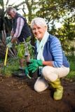 Portrait of happy female gardener with potted plant at garden stock image Portrait of happy female gardener with potted plant at garden stock image