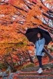 A beautiful asian woman holding an umbrella while standing among red and yellow colors tree leaves in autumn royalty free stock image A beautiful asian woman holding an umbrella while standing among red and yellow colors tree leaves in autumn royalty free stock image