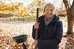 Portrait Of Mature Woman Raking Autumn Leaves In Garden stock image Portrait Of Mature Woman Raking Autumn Leaves In Garden stock image