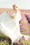 Portrait merveilleux de fille dans la robe légère dans le domaine de lavande sur le coucher du soleil photo stock Portrait merveilleux de fille dans la robe légère dans le domaine de lavande sur le coucher du soleil photo stock
