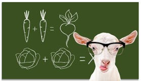 Portrait Of A Smart Goat On The Background Of A School Board Stock Photography Portrait Of A Smart Goat On The Background Of A School Board Stock Photography