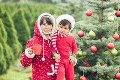 Portrait Of Mother And Child Sitting Near Christmas Tree And Eating Gingerbread And Drinking Hot Chocolate In Pine Park Stock Photos