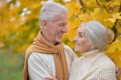 Portrait of senior couple in autumn park stock image Portrait of senior couple in autumn park stock image