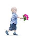Portrait of small baby boy walking holding pink roses bouquet isolated on white background. Little gentleman with stock photos Portrait of small baby boy walking holding pink roses bouquet isolated on white background. Little gentleman with stock photos