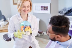 Female Dentist Explaining Teeth Structure royalty free stock photo Female Dentist Explaining Teeth Structure royalty free stock photo