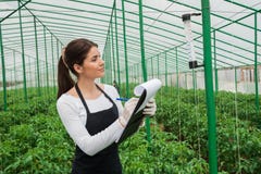 Portrait of young agriculture female engineer working in greenhouse