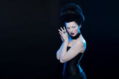 Portret van de actrice donkerbruine vrouw met hoog haar, een zwarte kraag met rozen op een hals en in een korset in oude stijl stock foto's Portret van de actrice donkerbruine vrouw met hoog haar, een zwarte kraag met rozen op een hals en in een korset in oude stijl stock foto's