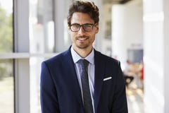 Portret van de jonge professionele mens in kostuum stock afbeelding Portret van de jonge professionele mens in kostuum stock afbeelding