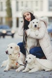 Portret van de jonge vrouw met favoriete honden royalty-vrije stock afbeelding Portret van de jonge vrouw met favoriete honden royalty-vrije stock afbeelding