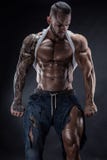 Portret van de sterke Atletische Geschiktheidsmens die grote spieren tonen stock afbeelding Portret van de sterke Atletische Geschiktheidsmens die grote spieren tonen stock afbeelding