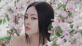 Portret van een mooi Aziatisch meisje in openlucht tegen de boom van de de lentebloesem coulisse stock videobeelden Portret van een mooi Aziatisch meisje in openlucht tegen de boom van de de lentebloesem coulisse stock videobeelden