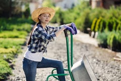 Portret van leuk tuinmanmeisje met kruiwagen die in tuinmarkt werken stock foto Portret van leuk tuinmanmeisje met kruiwagen die in tuinmarkt werken stock foto