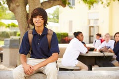 Portret van Mannelijke Middelbare schoolstudent Wearing Uniform stock fotografie Portret van Mannelijke Middelbare schoolstudent Wearing Uniform stock fotografie