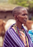 Portret van Masai Mara royalty-vrije stock afbeelding Portret van Masai Mara royalty-vrije stock afbeelding