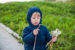 Portret śliczna śmieszna chłopiec berbecia pozycja w lasowej śródpolnej łące z dandelion kwitnie w rękach i dmuchaniu one obrazy royalty free Portret śliczna śmieszna chłopiec berbecia pozycja w lasowej śródpolnej łące z dandelion kwitnie w rękach i dmuchaniu one obrazy royalty free